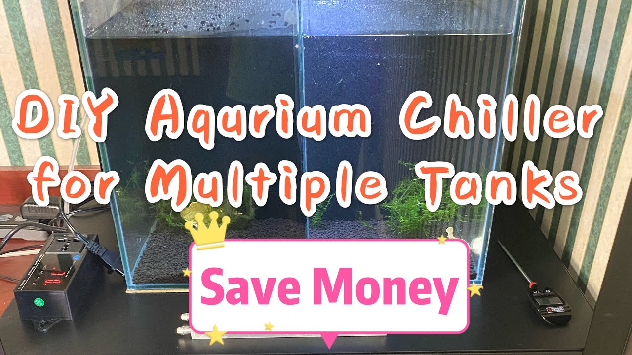 Save hundreds of bucks on DIY Aquarium Chiller免用多台冷水機，省錢DIY