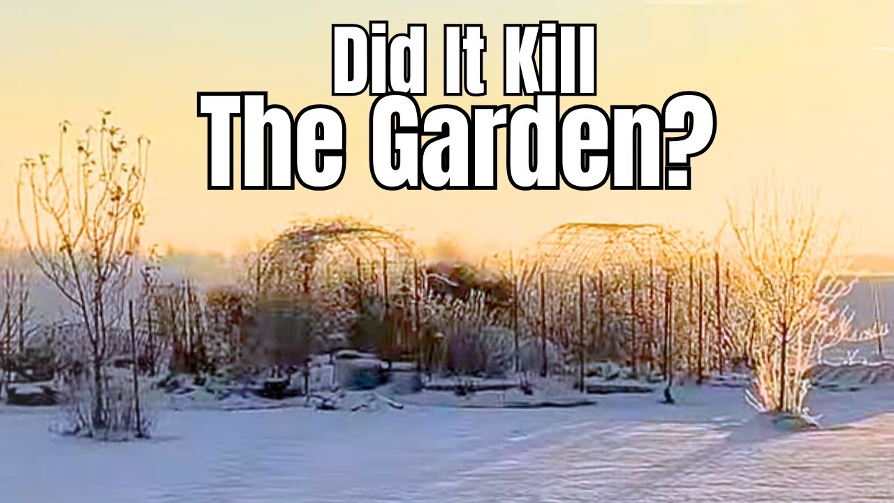 I wasn't ready for this. (Winter Garden Update)