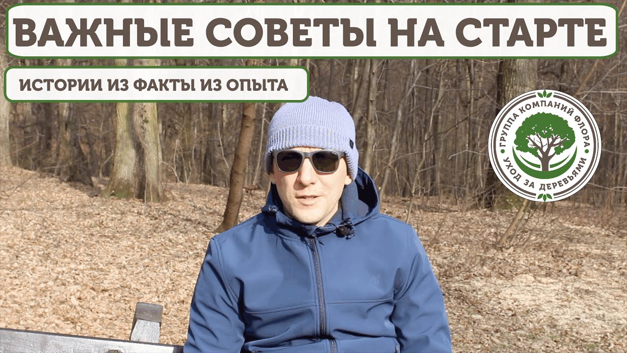 Важные советы арбористу для старта своего бизнеса.