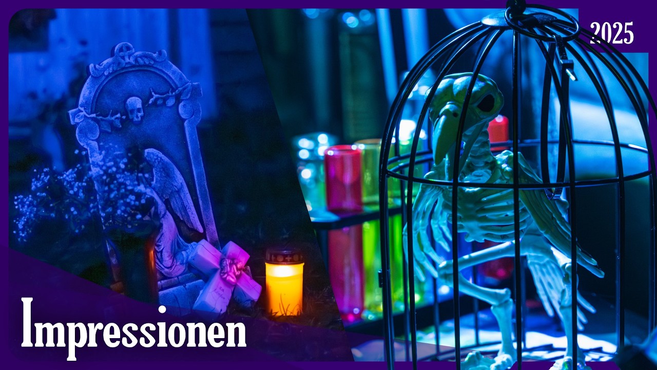 Impressionen Show 2025 || Die Geheimnisse des Vampirgrafen