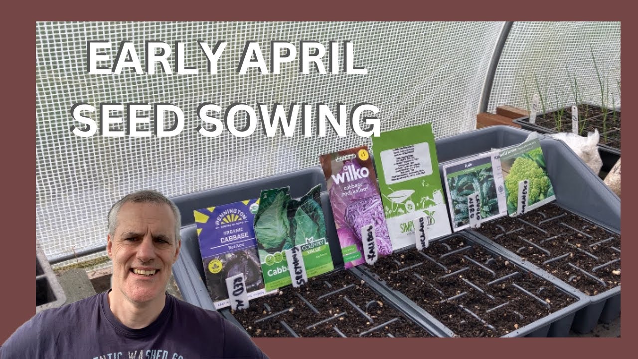 What I’m sowing in April