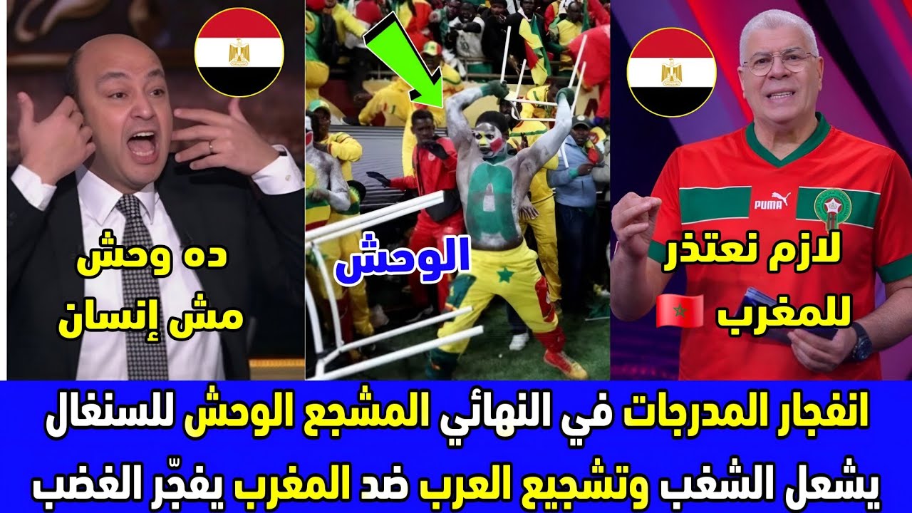 المشجع الوحش للمنتخب السنغالي يشعل الشغب وتشجيع العرب ضد المغرب يثير غضبًا واسعًا