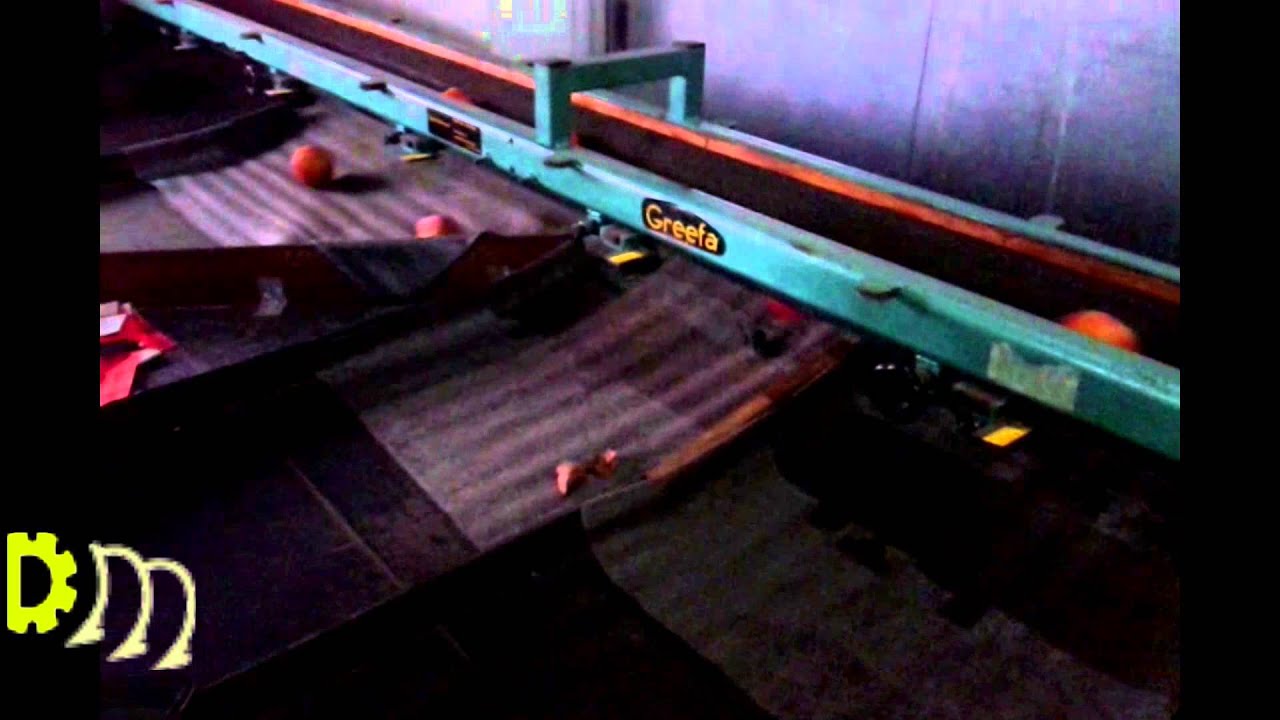 Greefa universal apple & pear grader