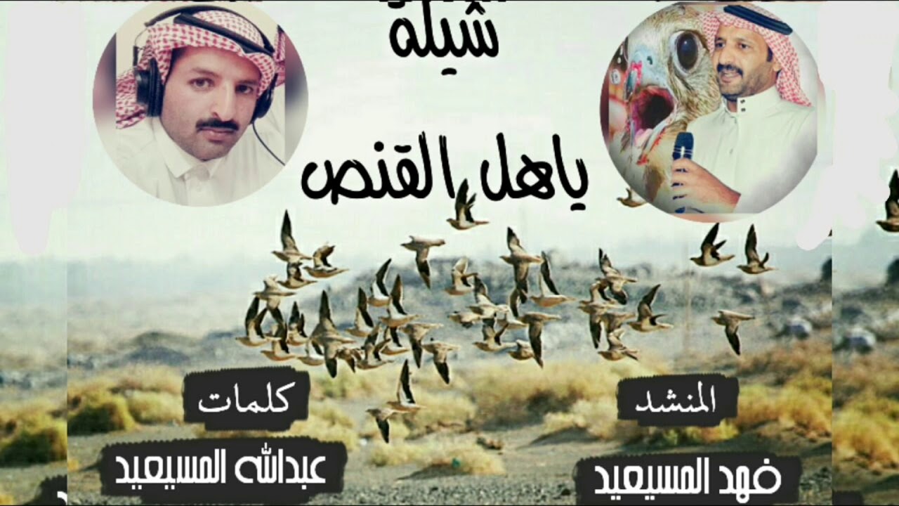 شيله القنص المنشد فهد المسيعيد كلمات الشاعر عبدالله المسيعيد اهداء لمجموعه المقناص
