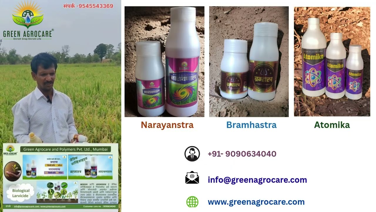 Paddy GAPL Brahamstra Narayanstra Atomica Y
