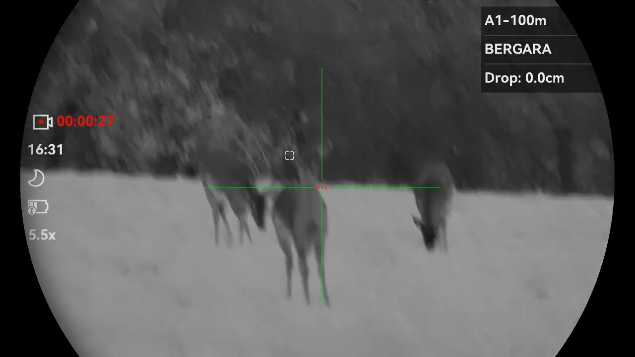 Dančie - hikmicro alpex 4k LRF , bez prísvitu 