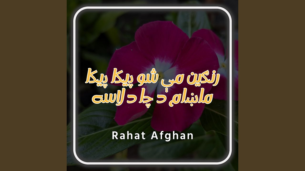رنګين مې شو پيکا پيکا ماښام د چا د لاسه