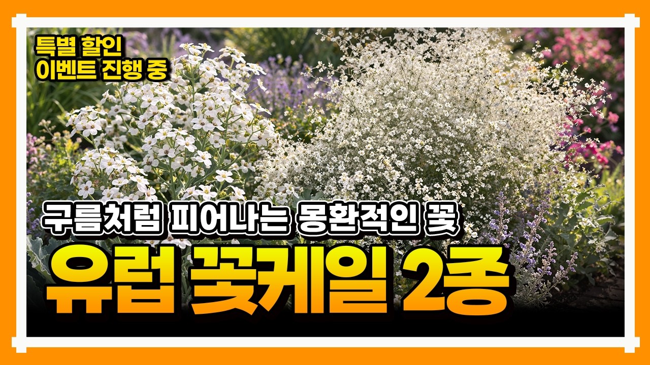 [신품종특집 20% 할인 이벤트] 