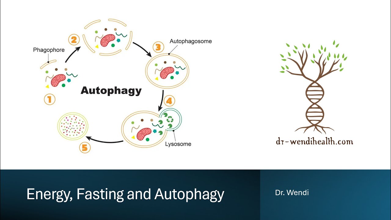AUTOPHAGY AND APOPTOSIS