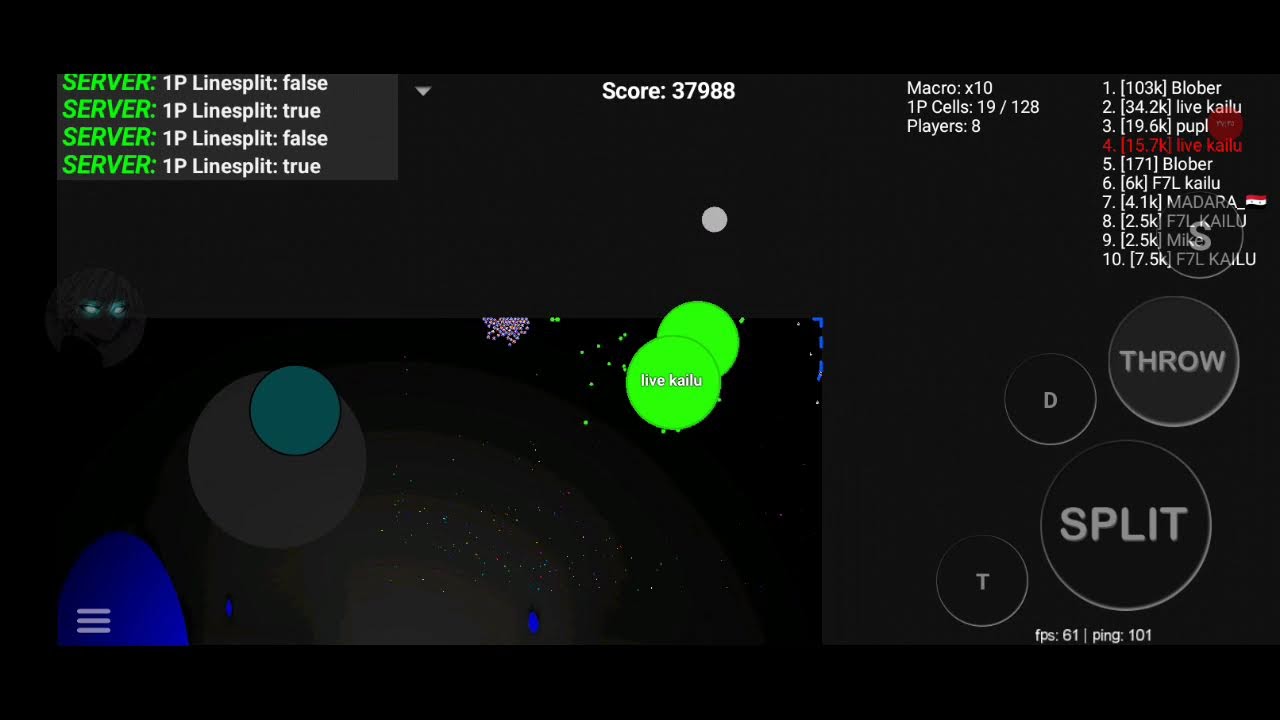 LIVE BLOB KAILU / بث بلوب كايلو