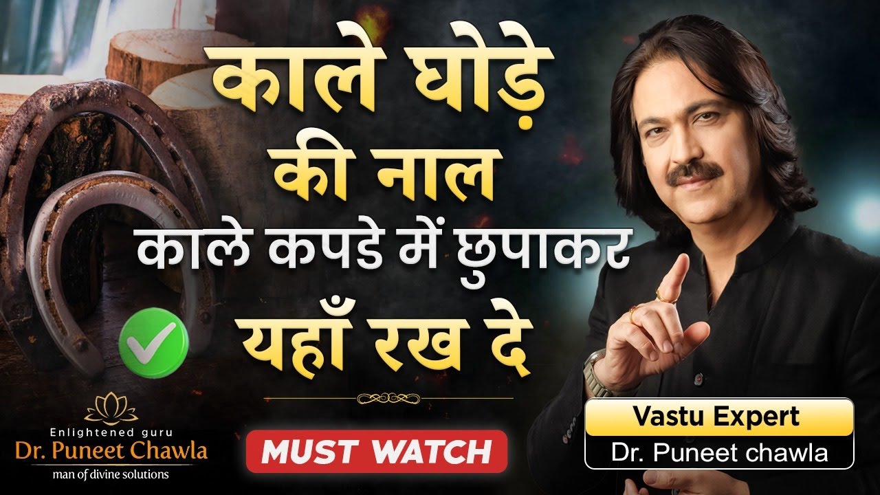 Black Horse Shoe | धन वर्षा और बुरी नजर हटेगी तुरंत | #vastu #blackhorseshoe #money