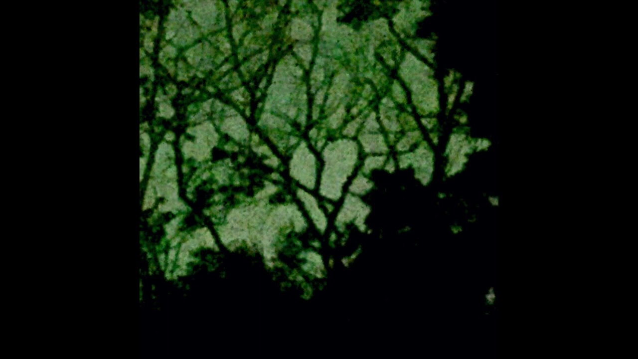 I sort of sing on this one