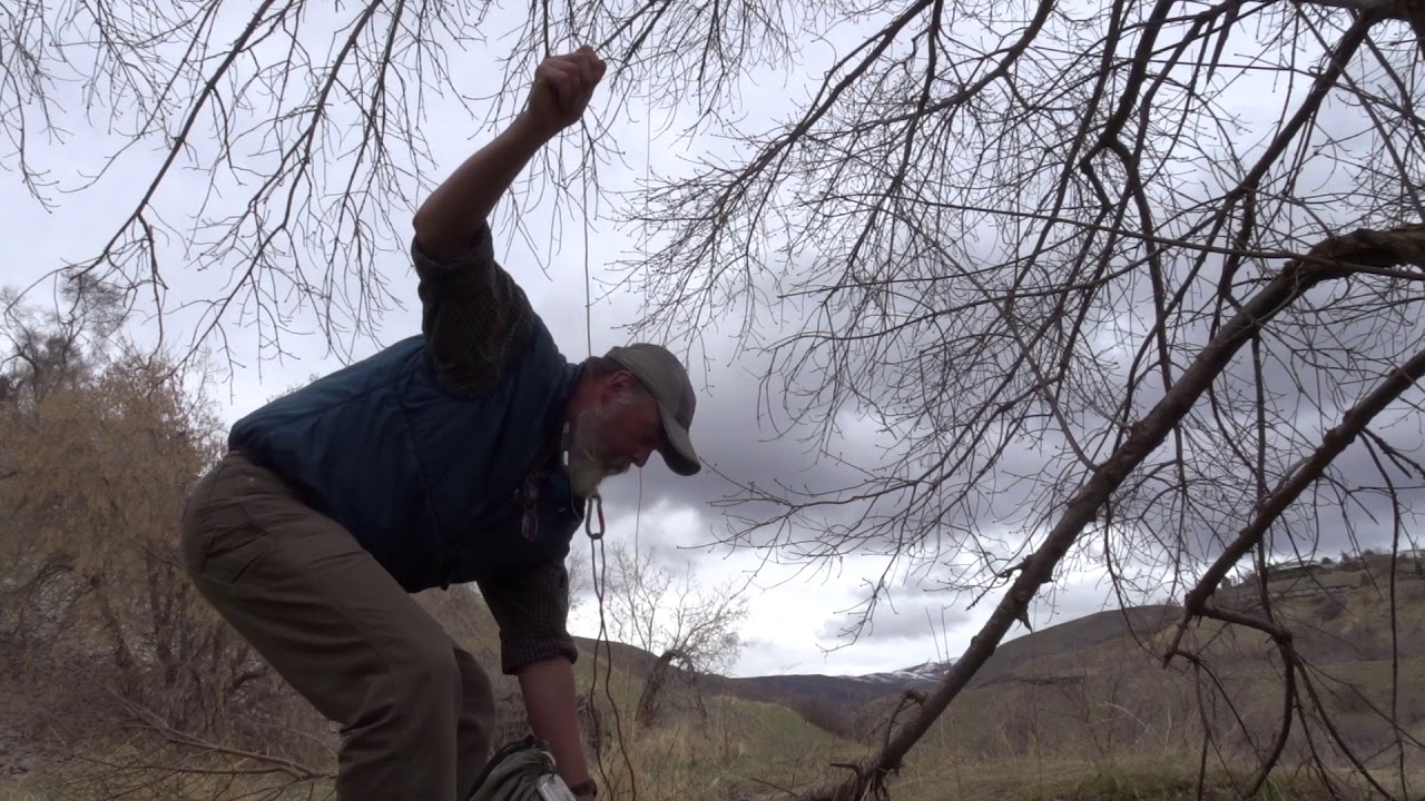 Bear Bag Hanging -2 cord method