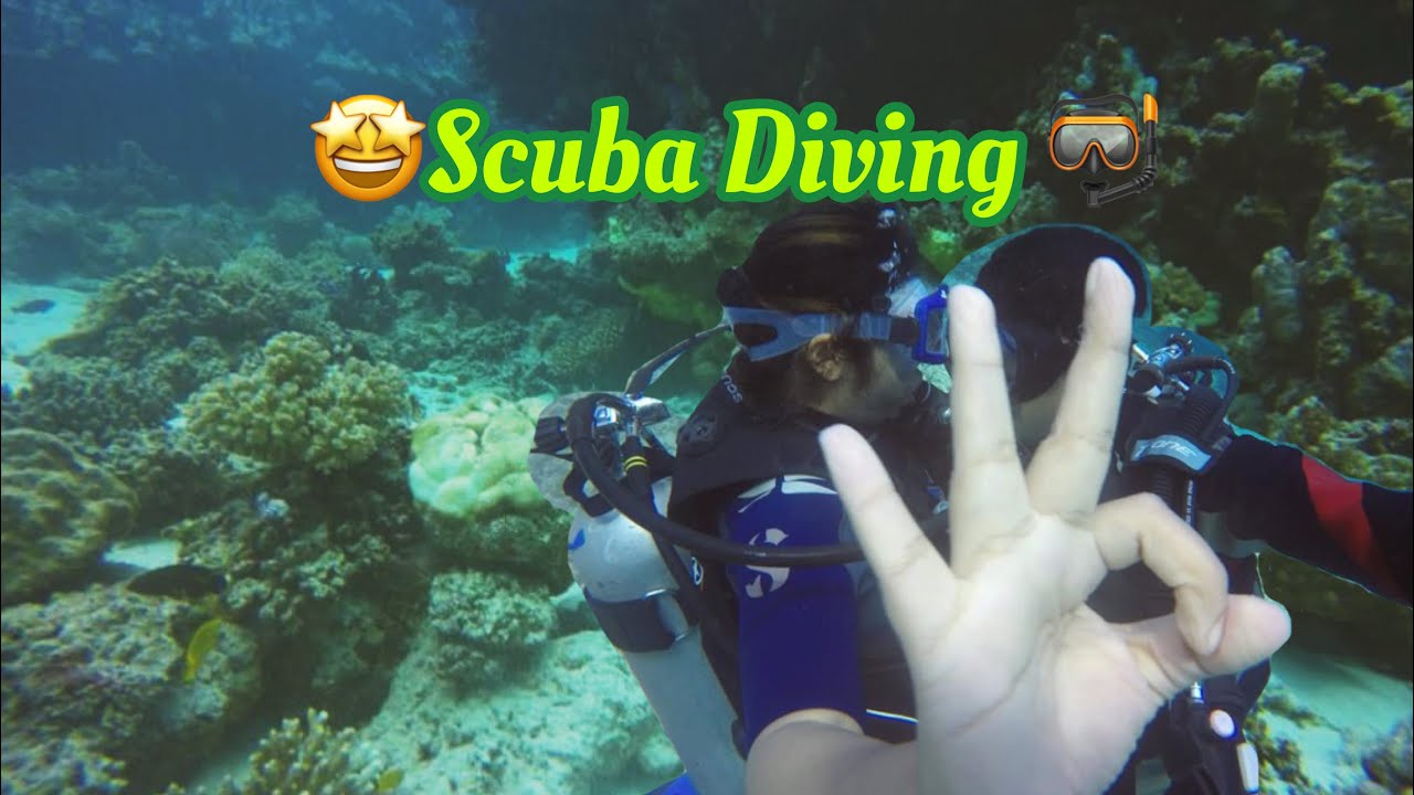 Scuba Diving And snorkeling in Yanbu Saudi Arabia|| Red Sea 🥽🤿🏊‍♂️🏊‍♀️🛥 Silver Bell