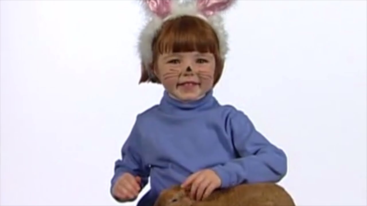 Looney Dolittle's Special Delivery Symphony Of Neighborhood Animals