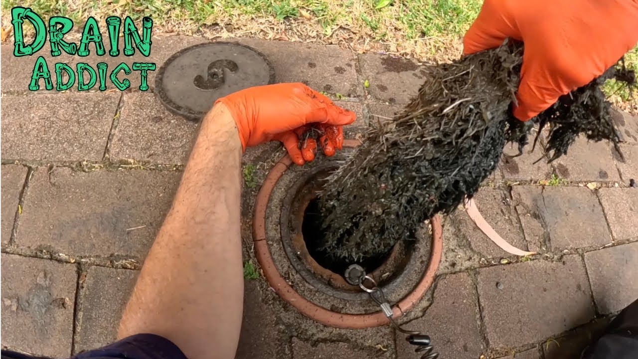 Blocked Drain 1036