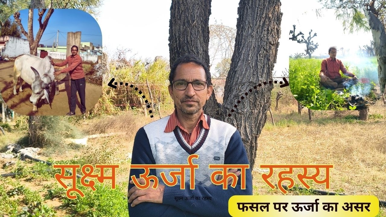 सूक्ष्म ऊर्जा क्या है? देसी गाय और हवन का खेती में महत्व | सूक्ष्म ऊर्जा से खेती में बदलाव