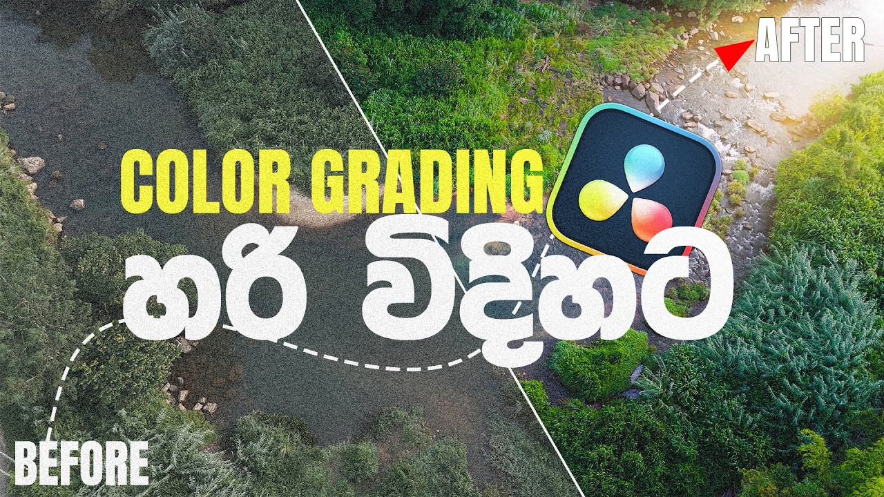 D-Log M Color Grading in Davinci Resolve 20 | Sinhala Tutorial