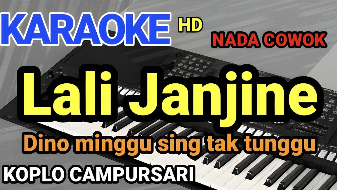 LALI JANJINE - KARAOKE KOPLO CAMPURSARI NADA COWOK - dino minggu sing tak tunggu karaoke