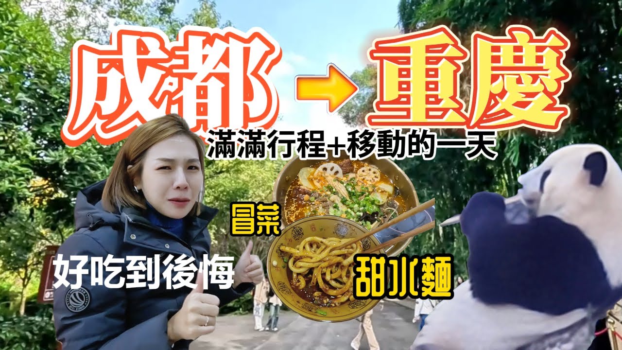 大陸高鐵沒靠背嗎!?成都超遼闊熊貓基地!!再見成都你好重慶/重慶夜景美得震撼/甜水麵好好吃