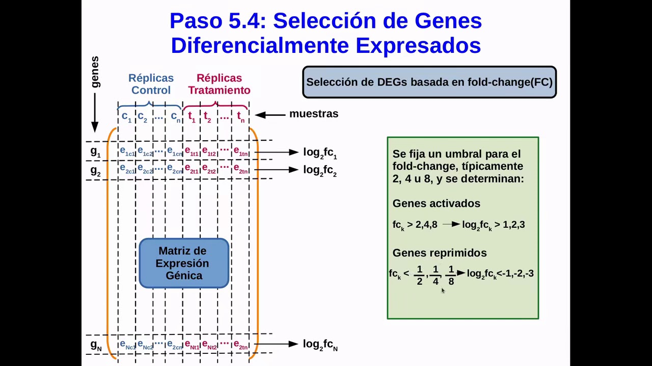 Análisis de microarrays con R parte 2: Expresión génica diferencial y enriquecimiento de GO.