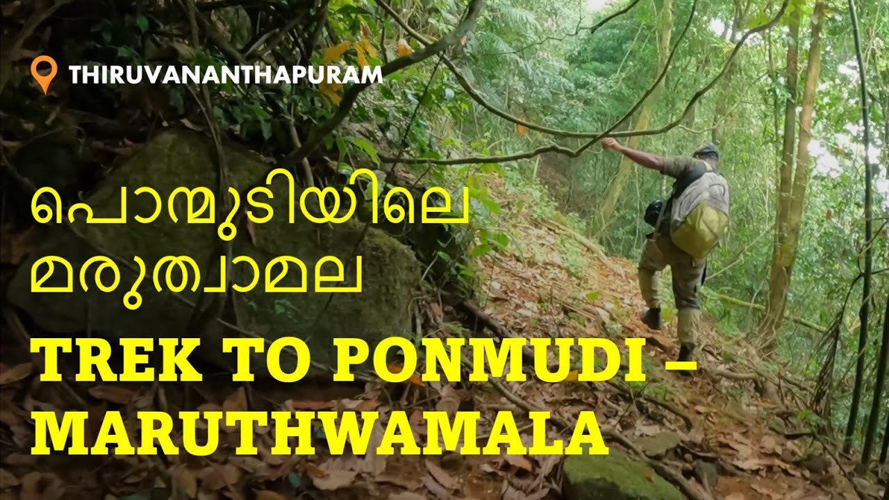 Ponmudi Maruthwamala Trek | പൊന്മുടി മരുത്വാമല | One amongst the best treks in Thiruvananthapuram