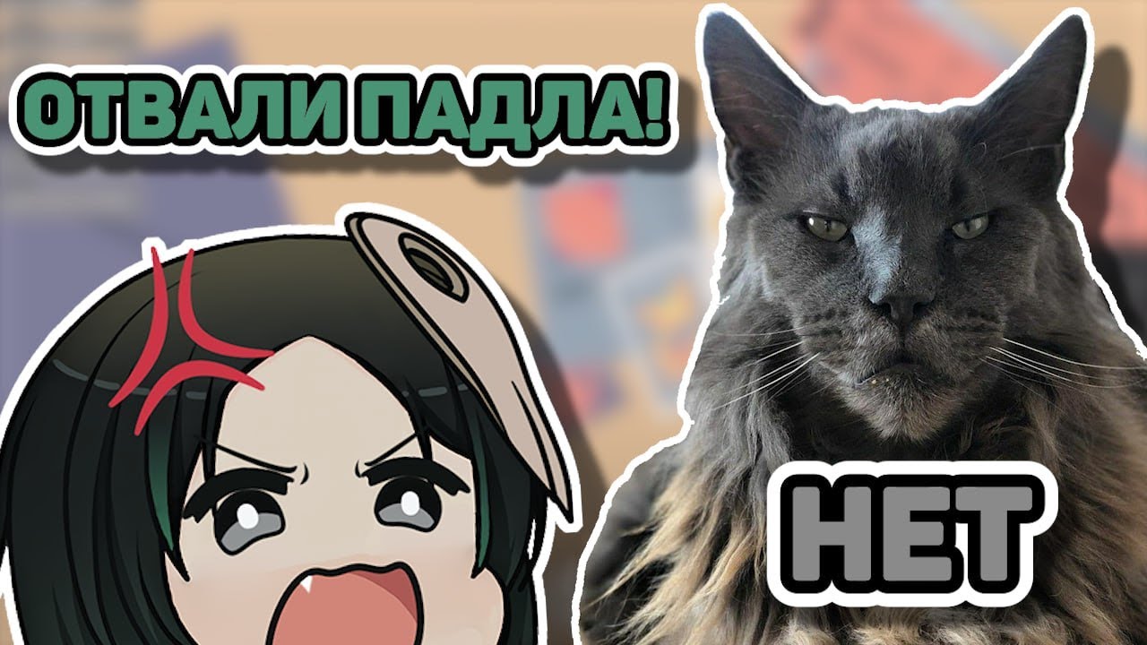 Баке теряет рассудок из-за кота на протяжении 178 секунд