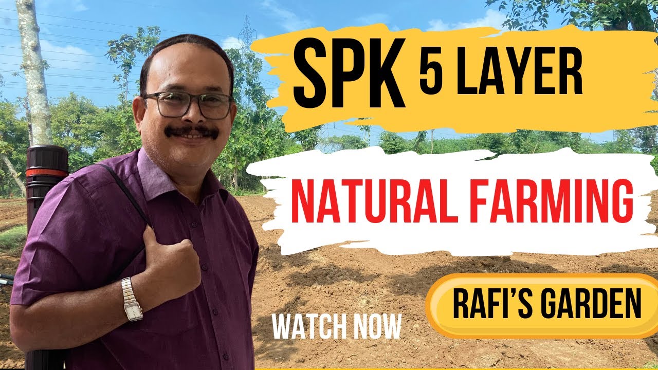 SPK సహజ వ్యవసాయంలో 5 Layer 60x60 అడుగుల BOX మరియు BEDS తయారీ #naturalfarming #organic #vijayram