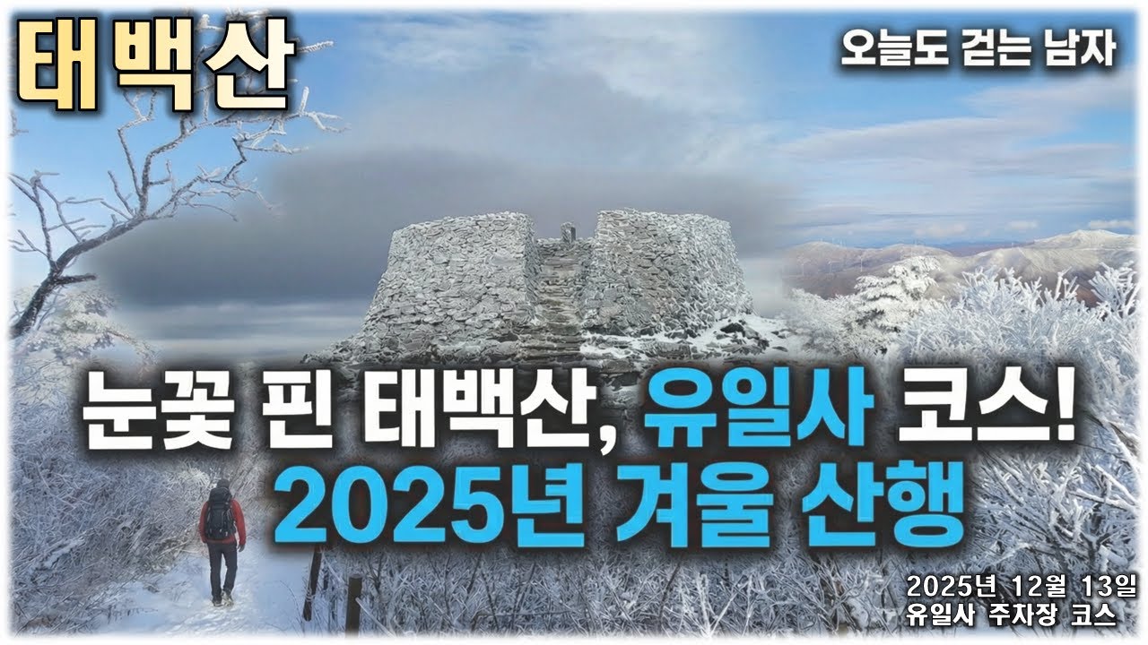 올해 본 눈꽃 중 최고... 태백산 유일사 코스 꼭 가보세요 | 태백산 |천제단|장군봉