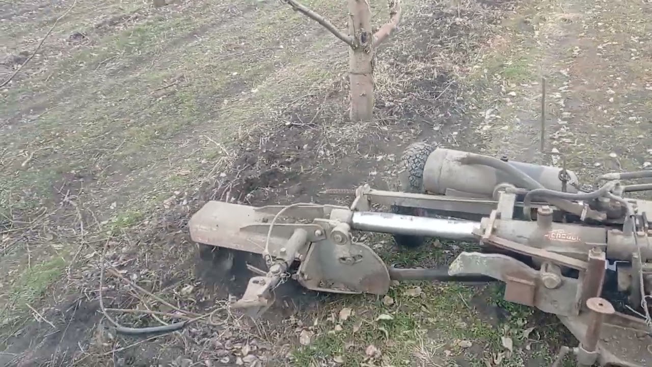 12 марта 2025 г.