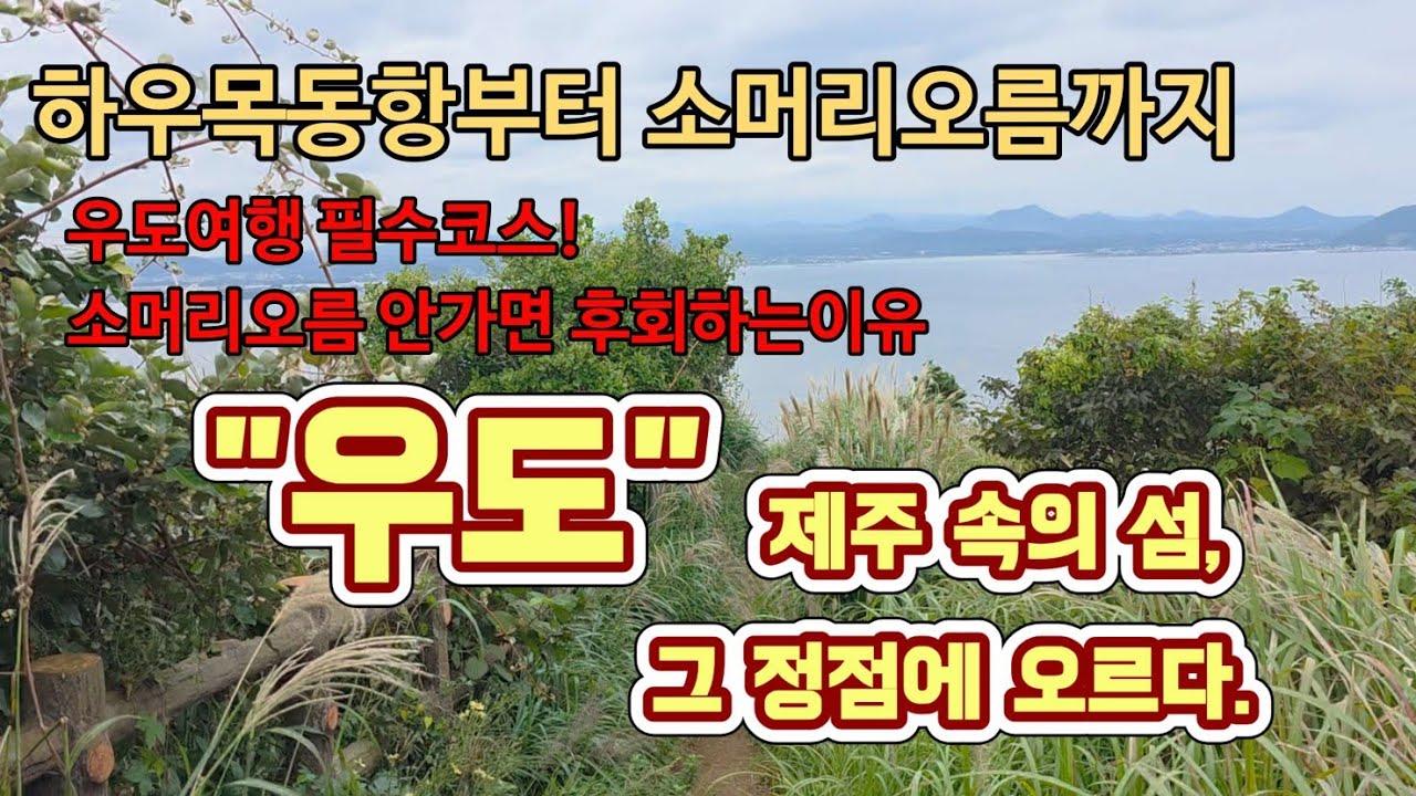 우도여행코스 
