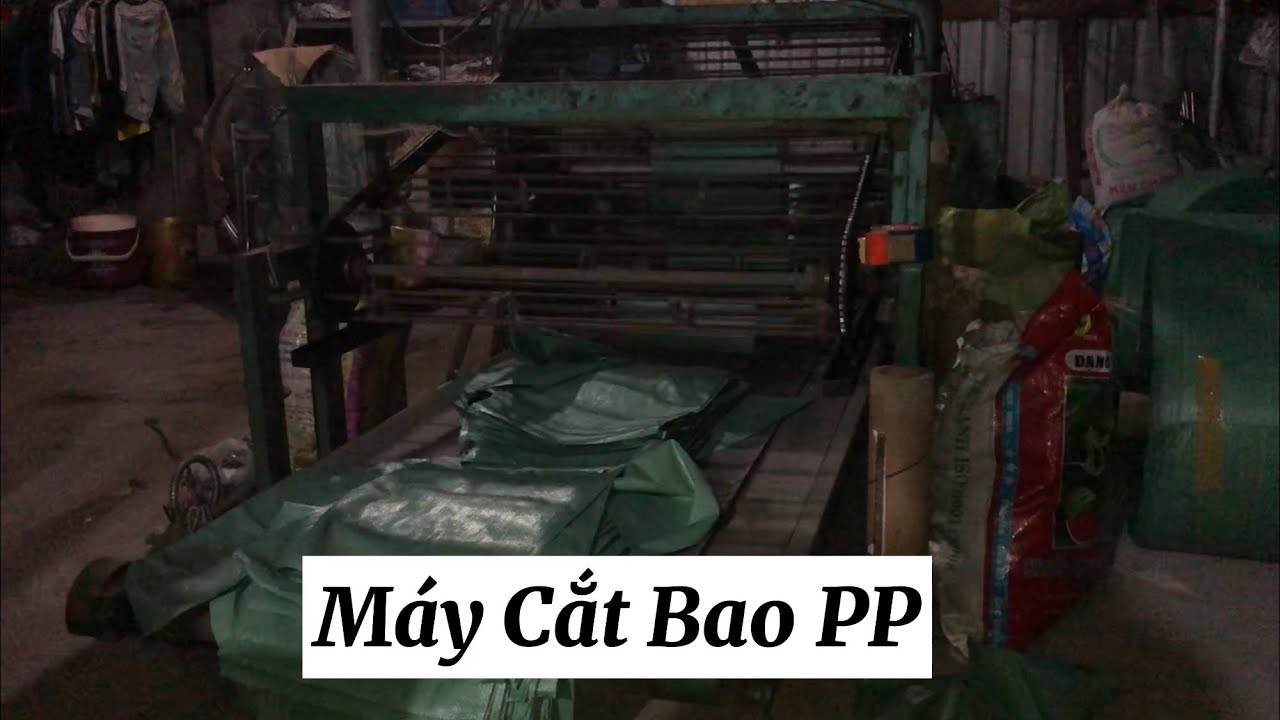 Máy Cắt Bao Bì Tự Động  // Không Bỏ Cuộc Vlog