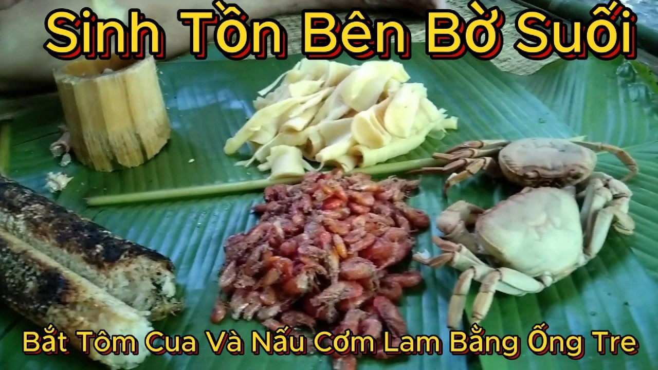 Sinh Tồn Bên Bờ Suối: Bắt Tôm Cua Và Nấu Cơm Lam Bằng Ống Tre