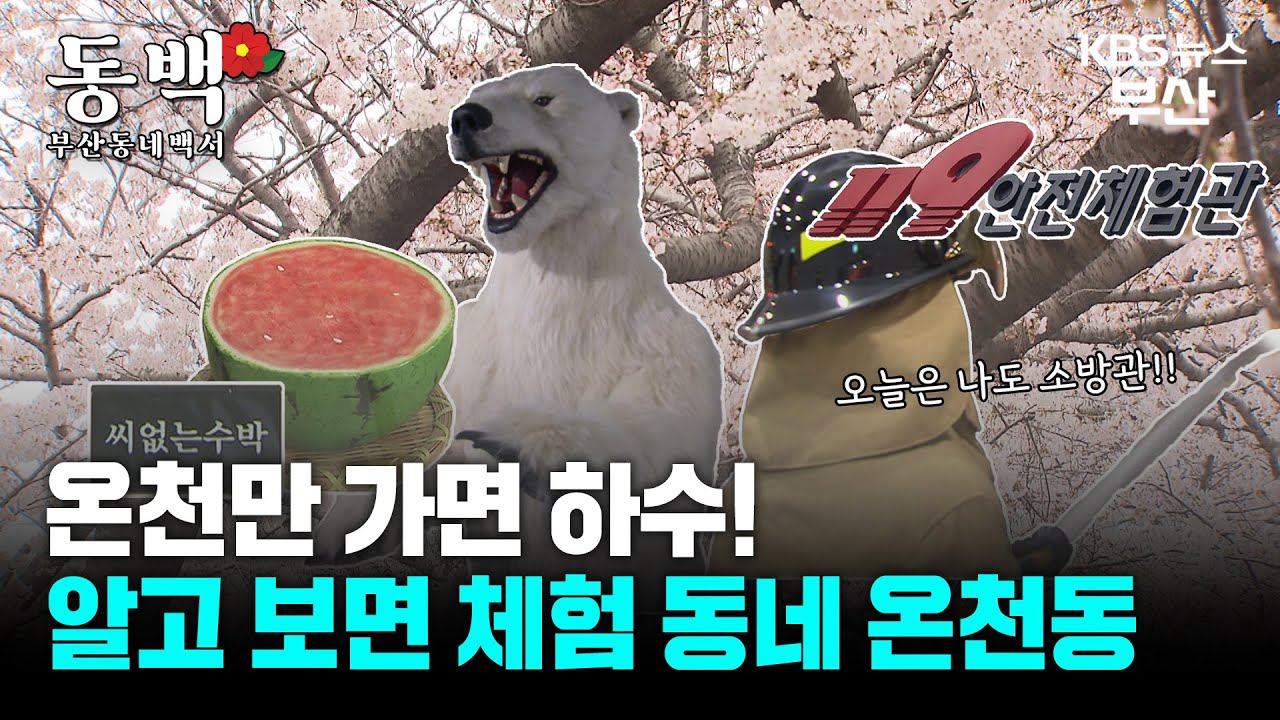 [부산동네백서] 온천이 따뜻하고 체험이 즐거운 동네, 온천동