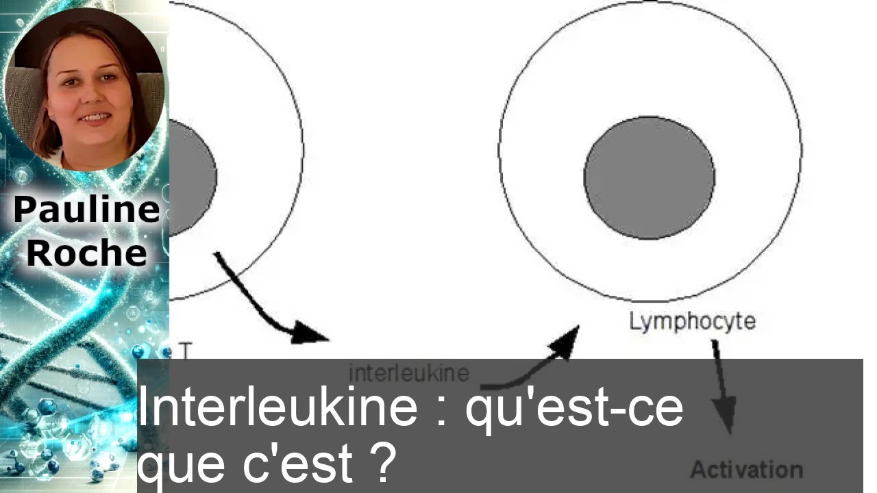 Interleukine : D&eacute;couvrez son r&ocirc;le essentiel dans notre syst&egrave;me immunitaire !