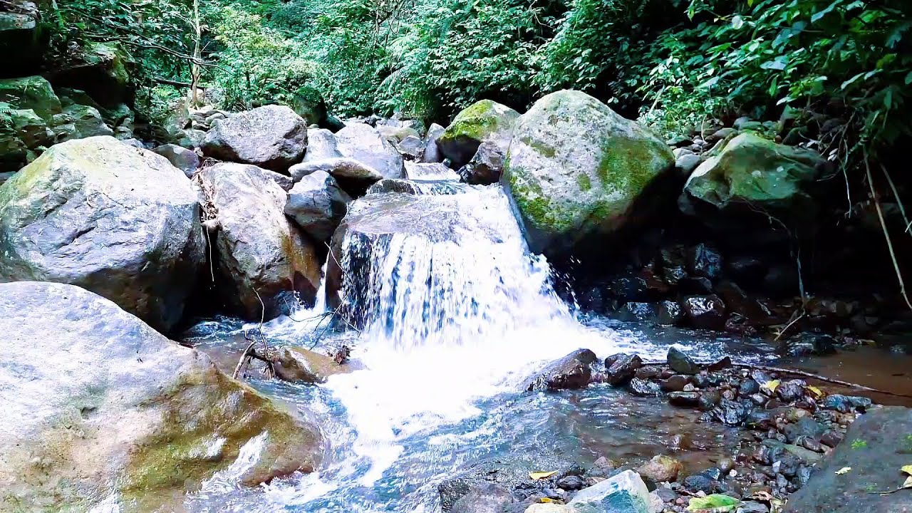 Calm River Ambience for Sleep Ease