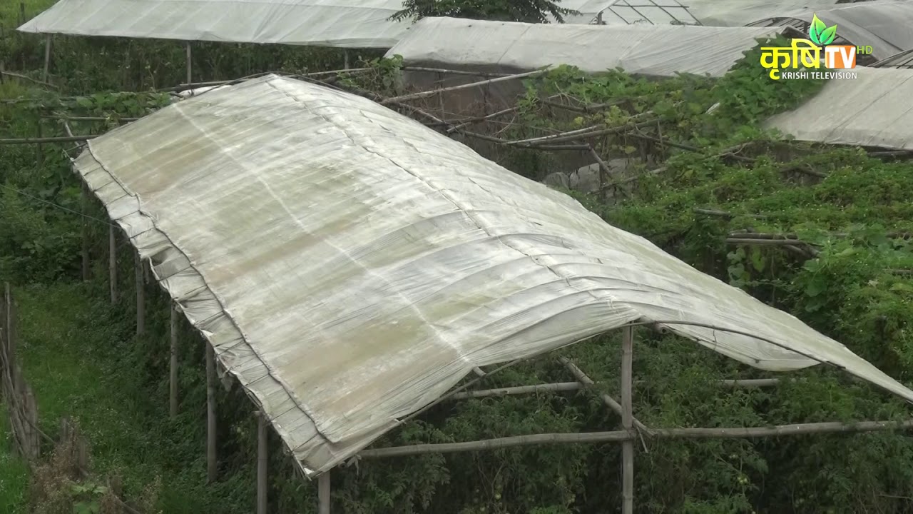 सिल्पोलिन(SILPAULIN) प्लास्टिकको महत्व || भाग १