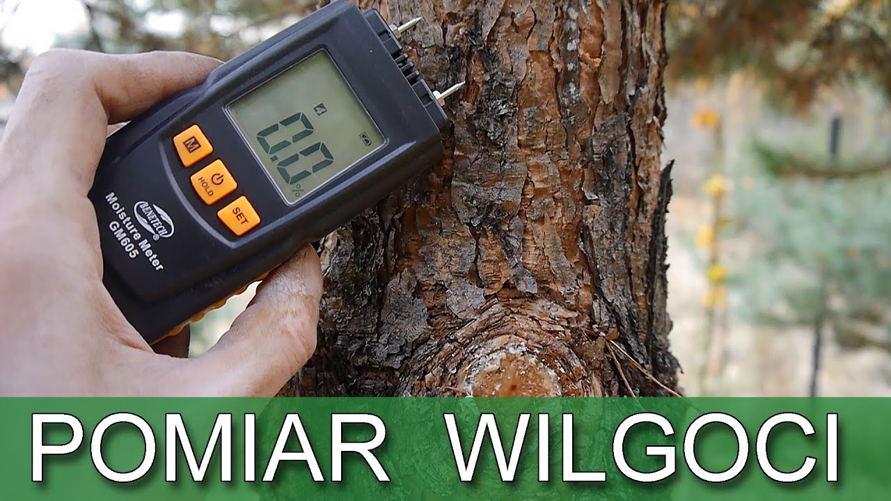 Измерение влажности древесины, стен, пола - универсальный влагомер #DomZa100 #147