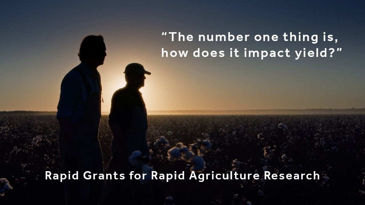 Multidisciplinary Research Part 1 | The Race to Control A Cotton Virus