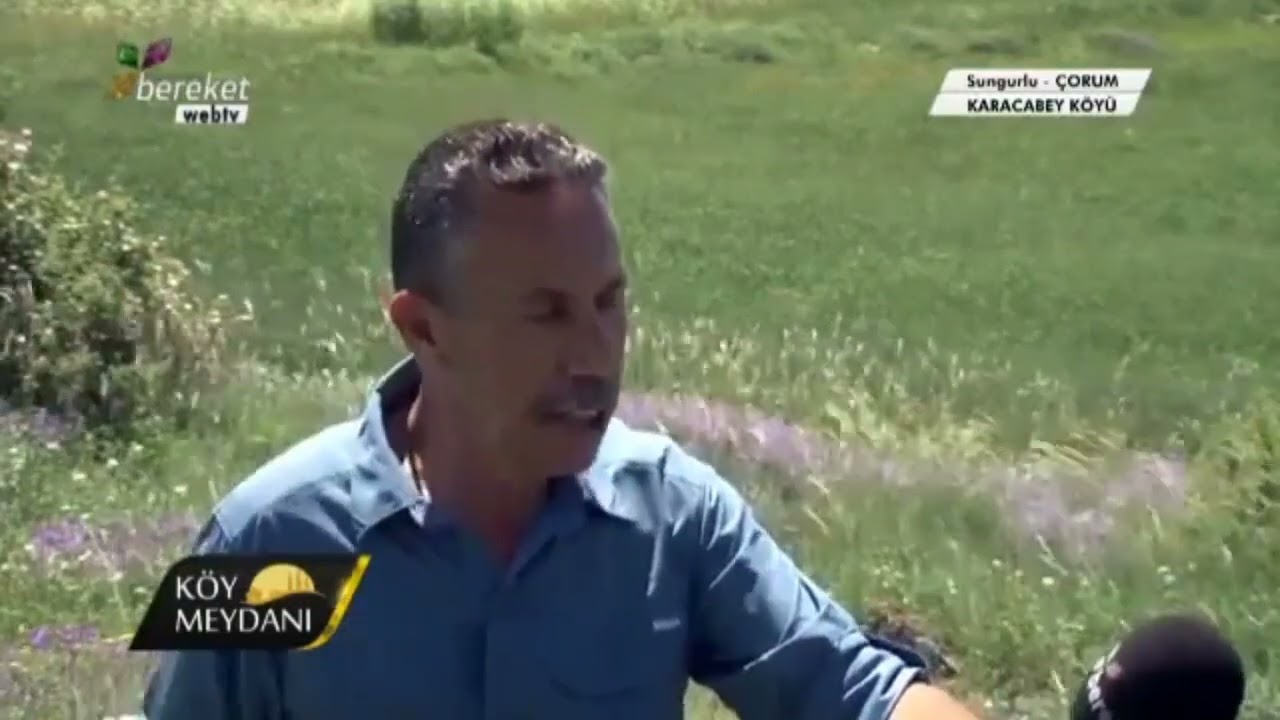 ÇORUM SUNGURLU KARACABEY(karaoluk) KÖYÜ
