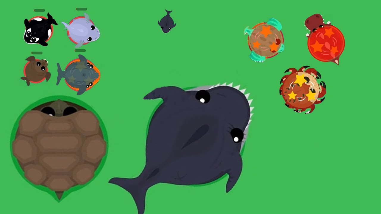 Roams.io/DEV/TORTOİSE/MEGALODON/BEST MOMENTS AND TROLLİNG KİLLS/