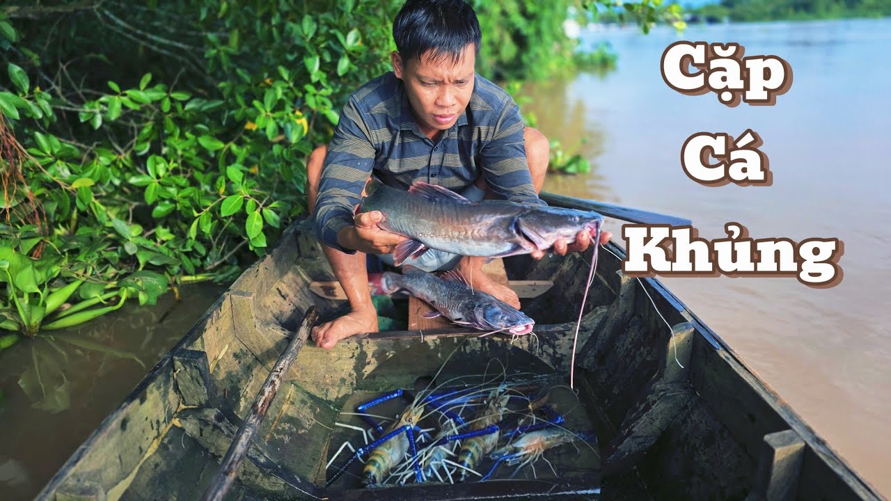 2 M&ocirc;n Kết Hợp 