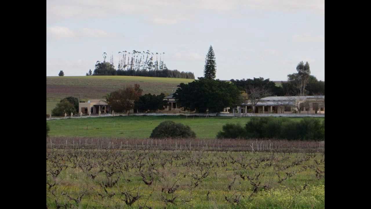 Wine & Livestock farm for sale Wellington Western Cape South Africa | AGF0067