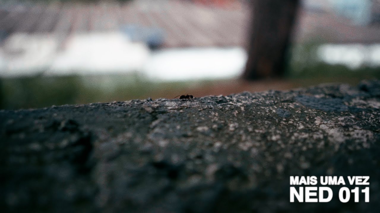 Ned 011 - Mais Uma Vez (PROD@RETROBOY)