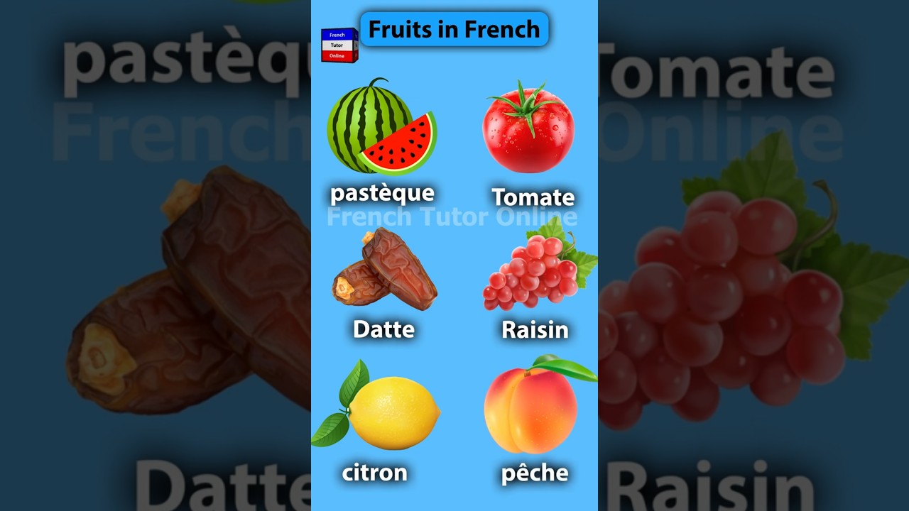 Learn French Language Online | french courses online