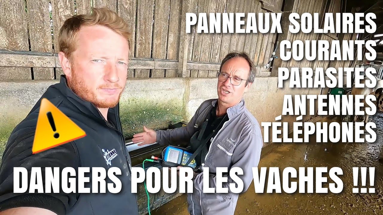 PANNEAUX SOLAIRE, ANTENNES ... DANGERS POUR LES VACHES ??!!