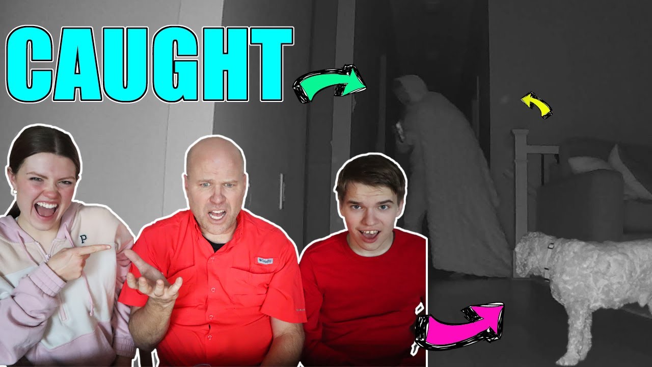 Reacting To Ty, Dogs And Ghost Orb Caught On Camera At Night!