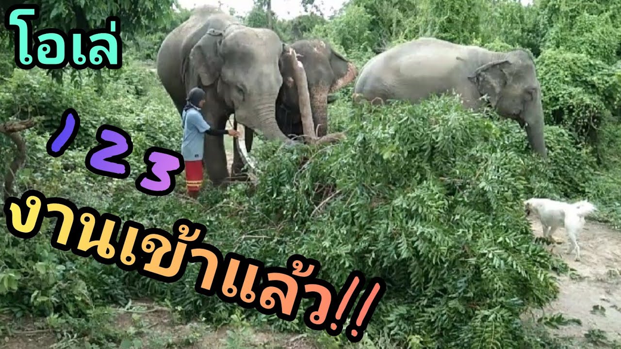 จะข้ามฝั่งแต่เจอแบบนี้จะไปได้ยังไง งานเข้าแก้วตาหาย