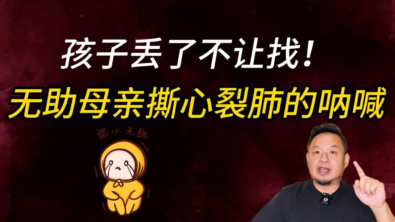 老王来了：单亲妈妈跨国寻子，国家不帮，还不许自己救？谁在封死她的生路！