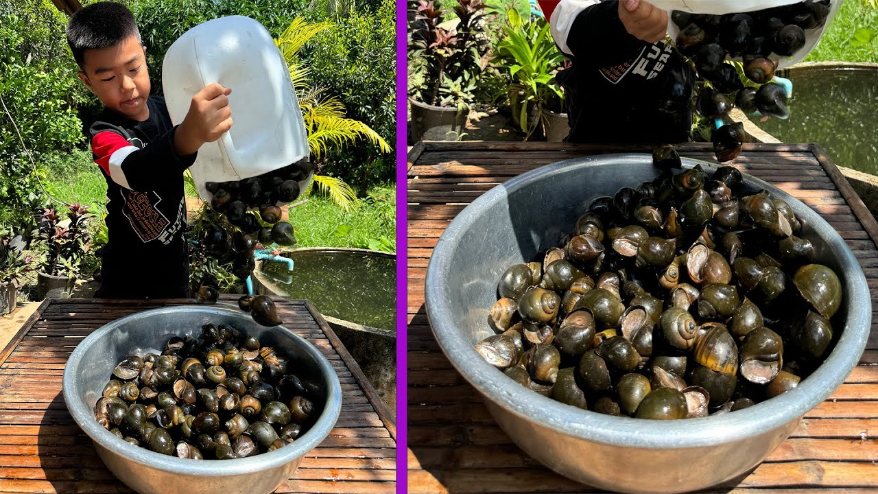Country chef cook delicious river snails with best skills - Seyhak cook for grandma  - Chef Seyhak